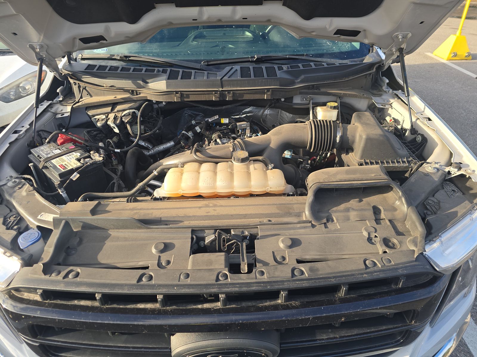 2021 Ford F-150 XLT RWD