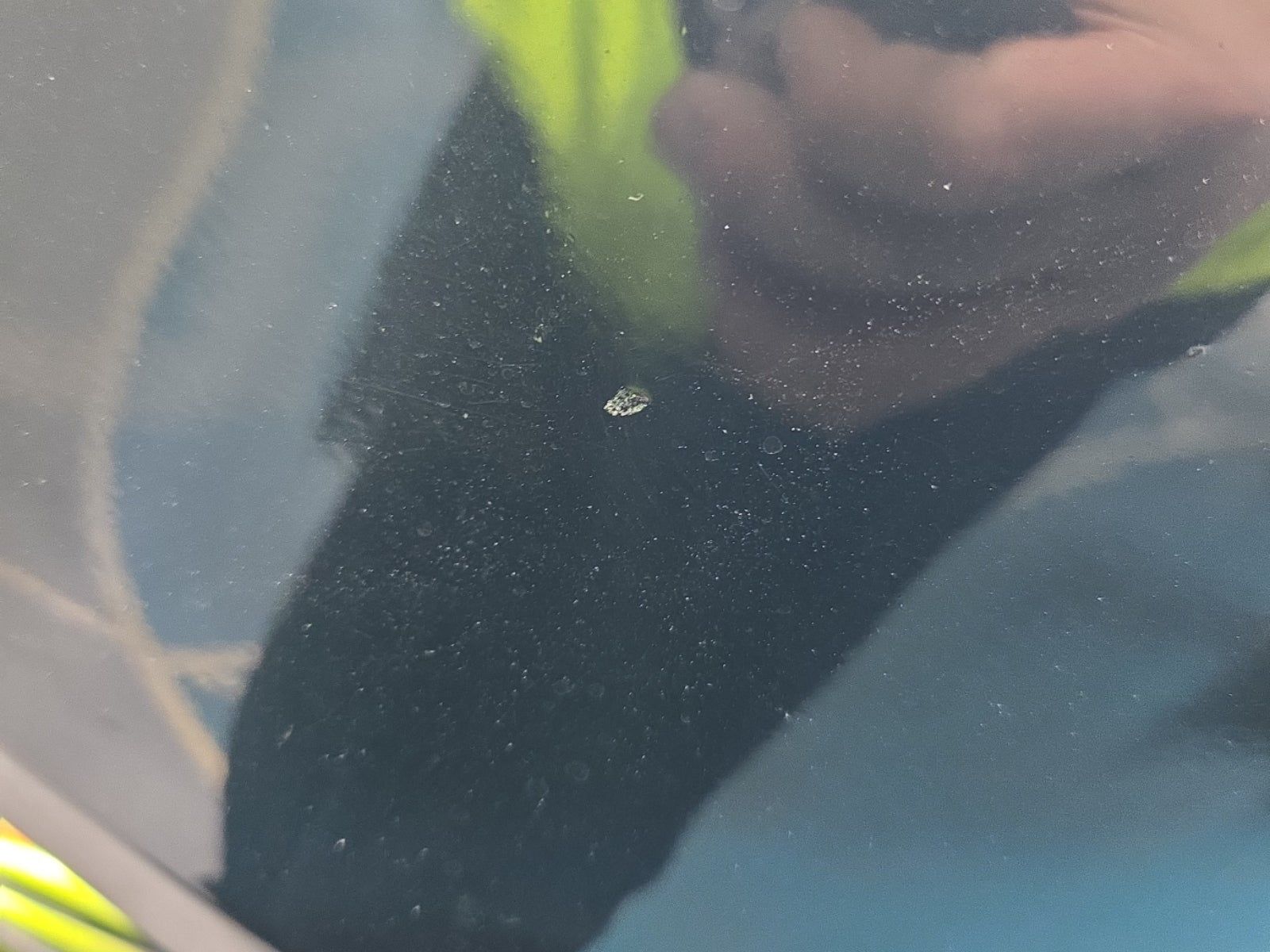 2022 Mercedes-Benz GLE GLE 350 AWD