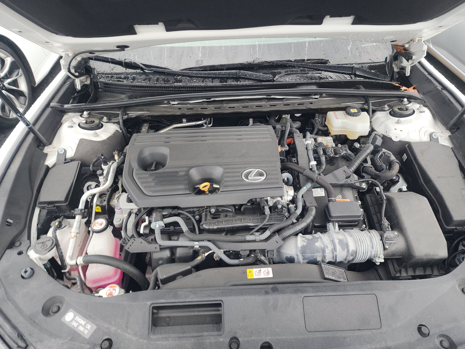 2023 Lexus ES ES 300h F SPORT Handling FWD