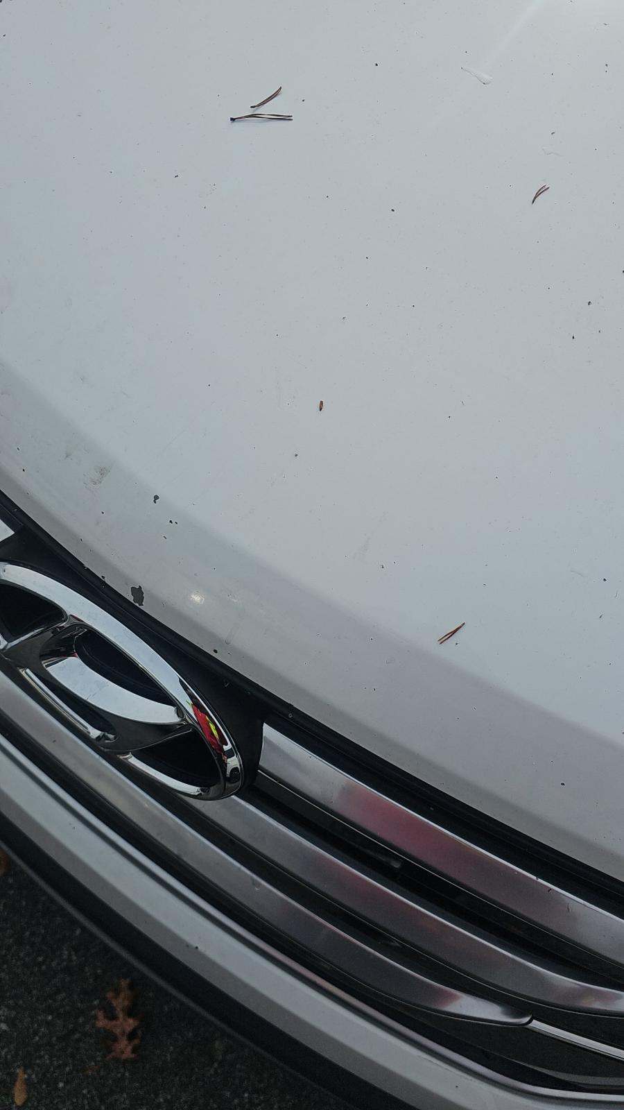 2016 Hyundai Santa Fe Sport Base FWD