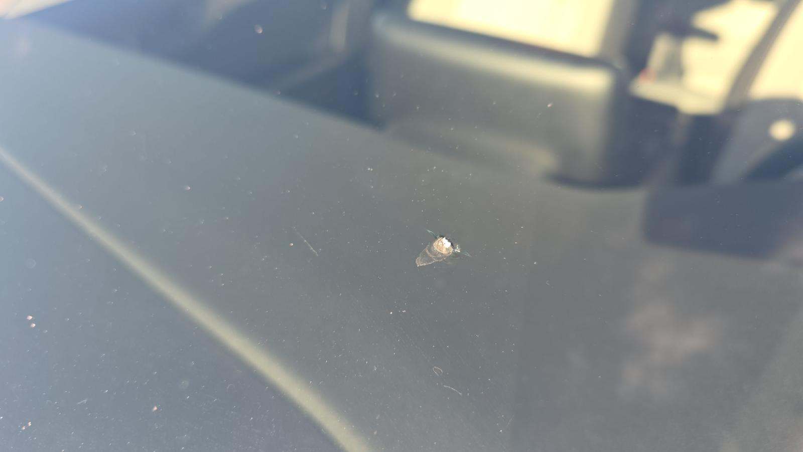 2024 Ford Escape Active AWD