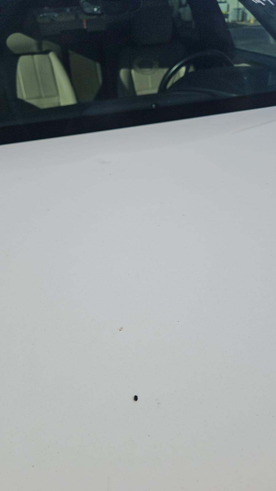 2023 Land Rover Range Rover Velar R-Dynamic S AWD