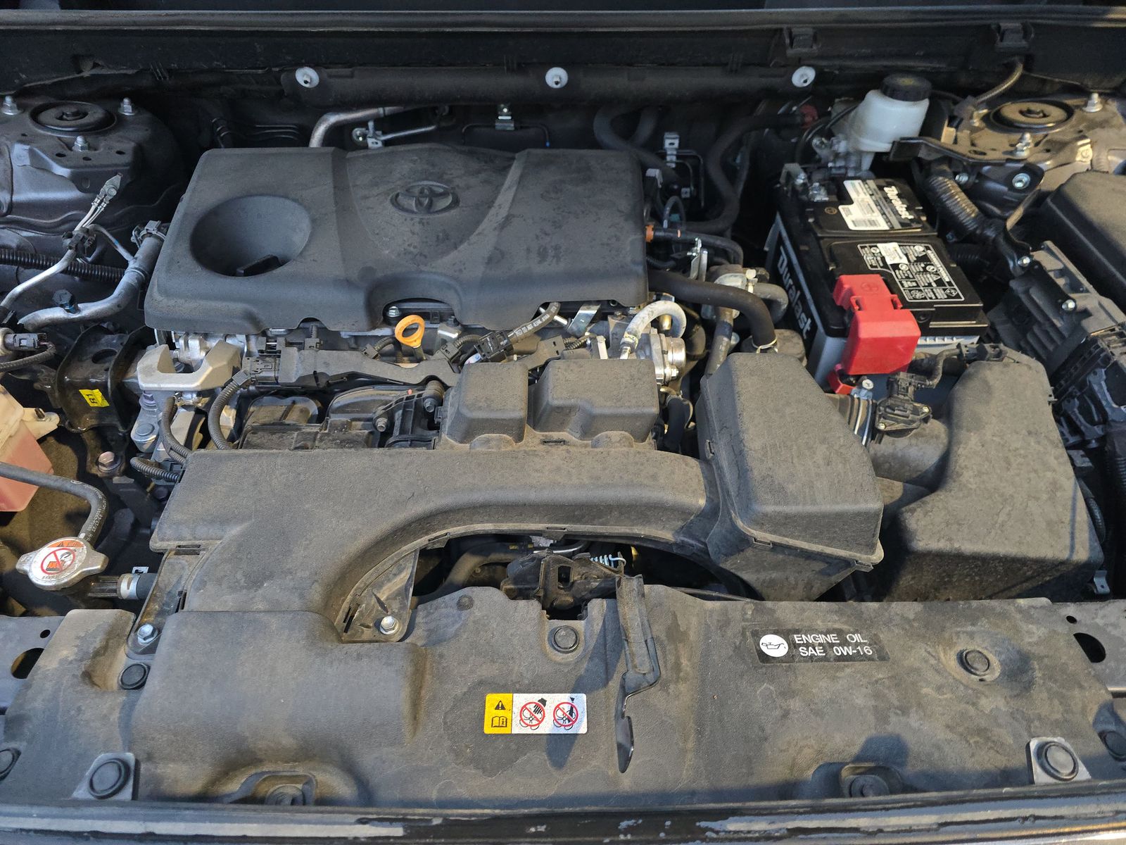 2024 Toyota RAV4 LE FWD