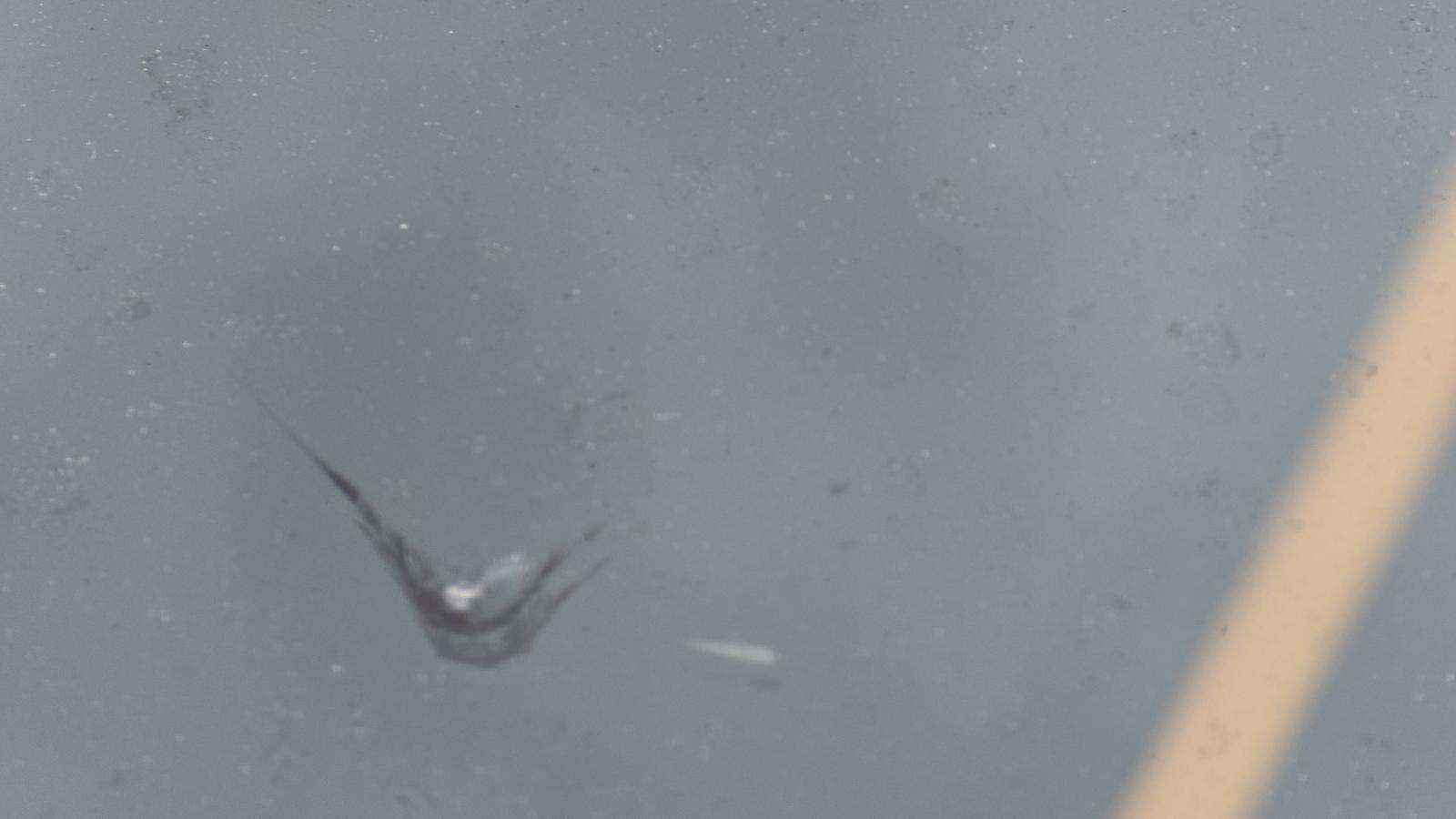 2023 Chevrolet Corvette Stingray RWD