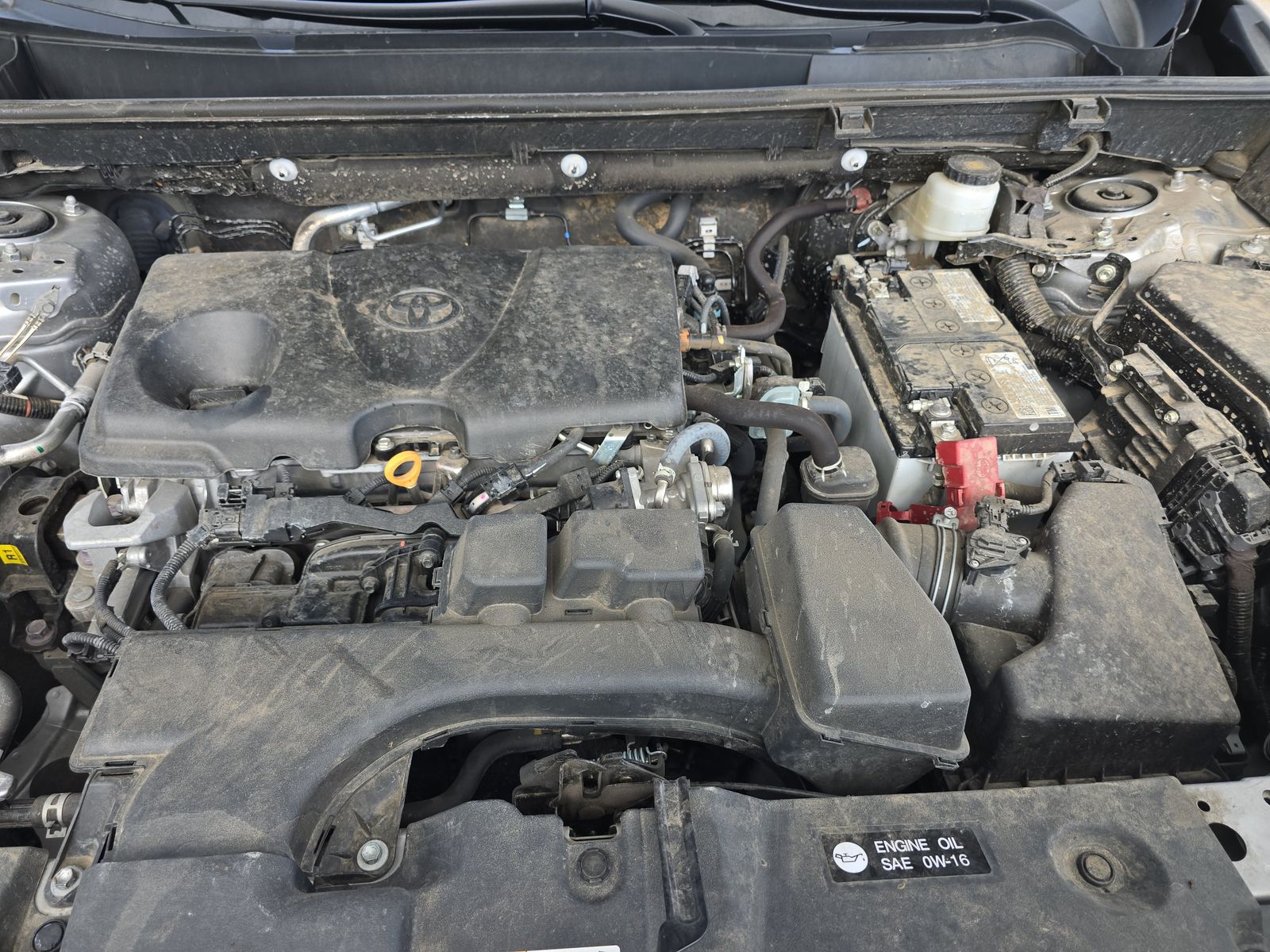 2024 Toyota RAV4 LE AWD