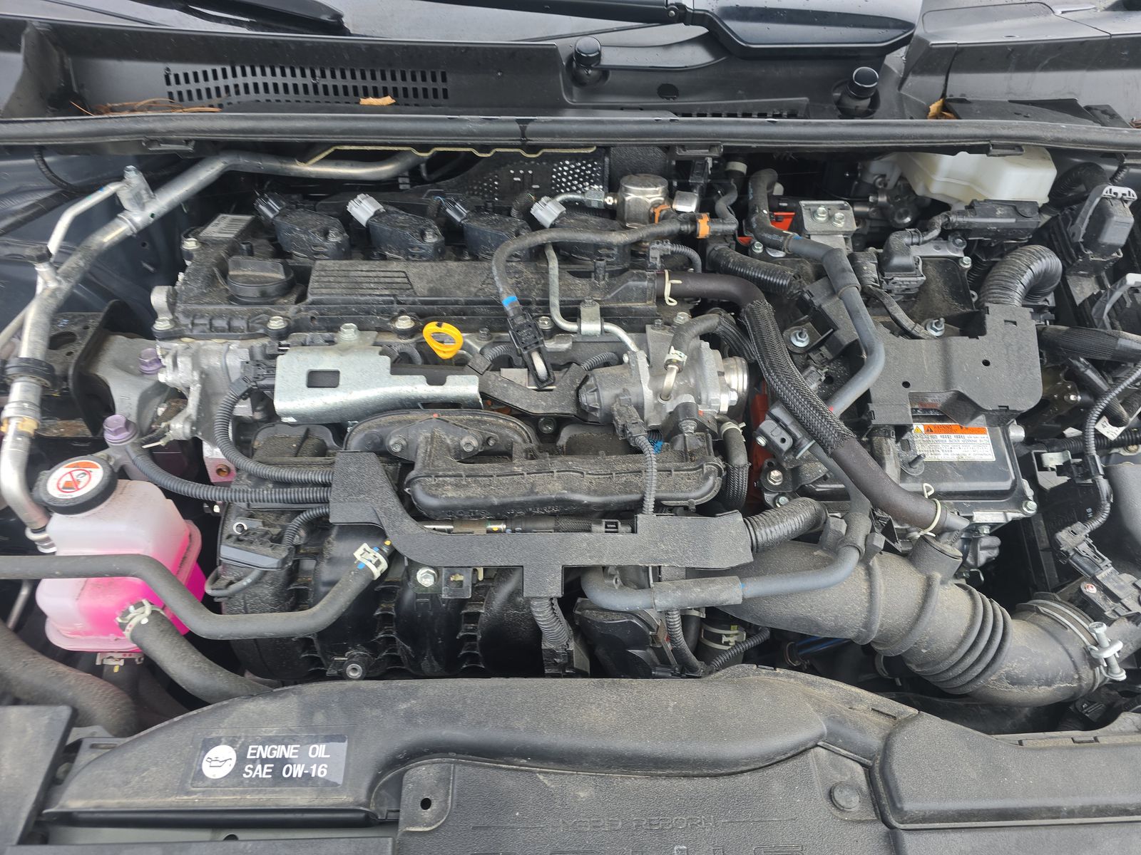 2024 Toyota Prius LE FWD