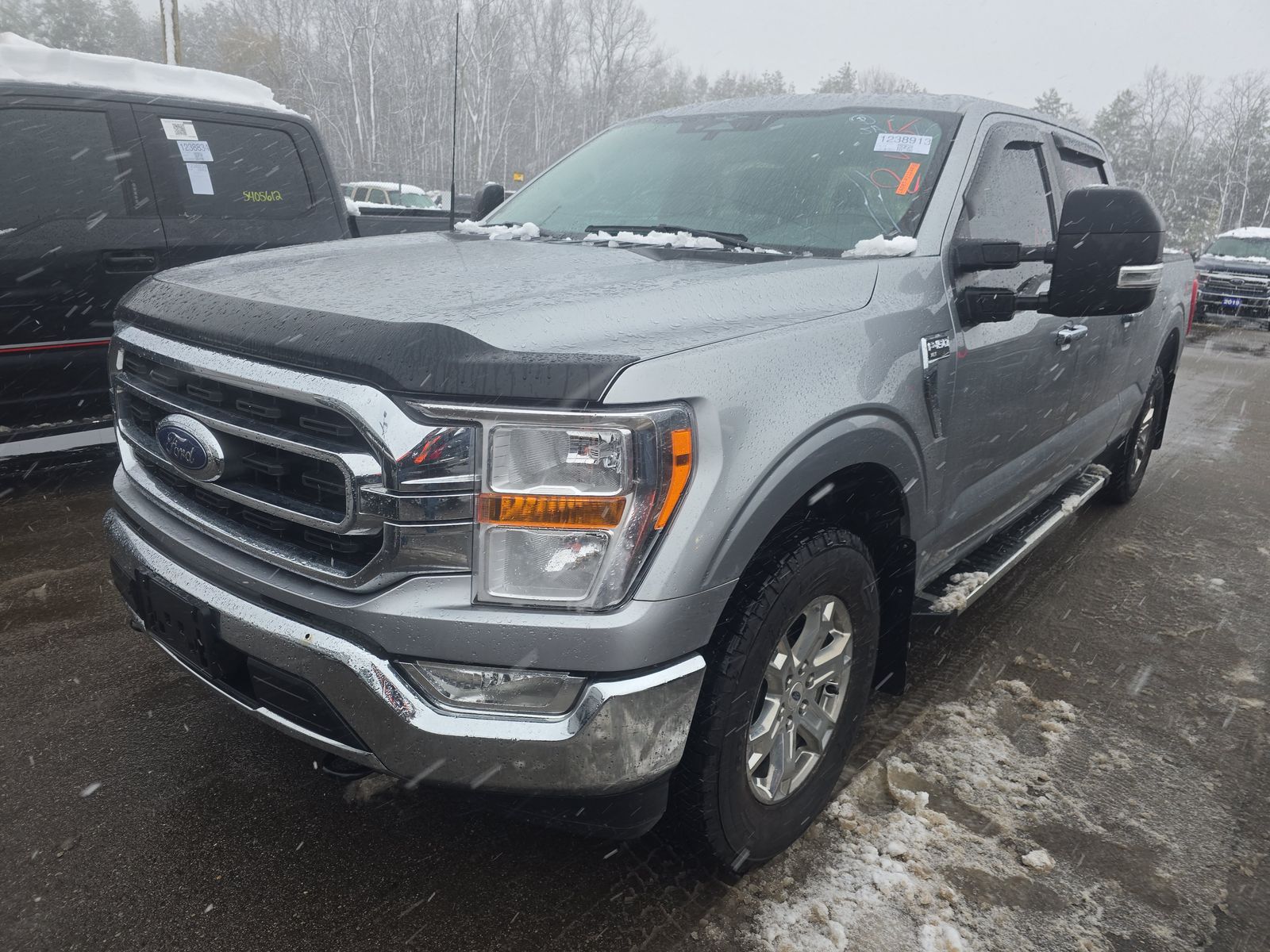 2023 Ford F-150 XLT AWD