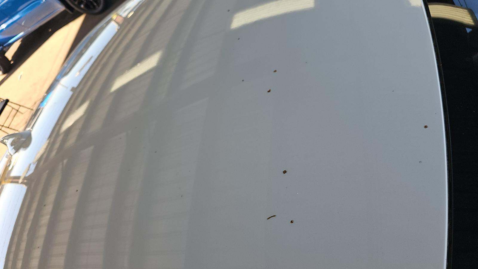 2023 BMW 2 Series 228i FWD