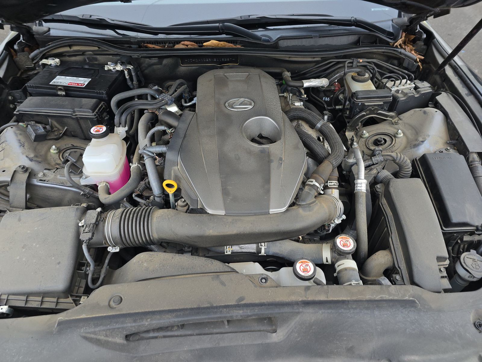 2022 Lexus IS IS 300 RWD