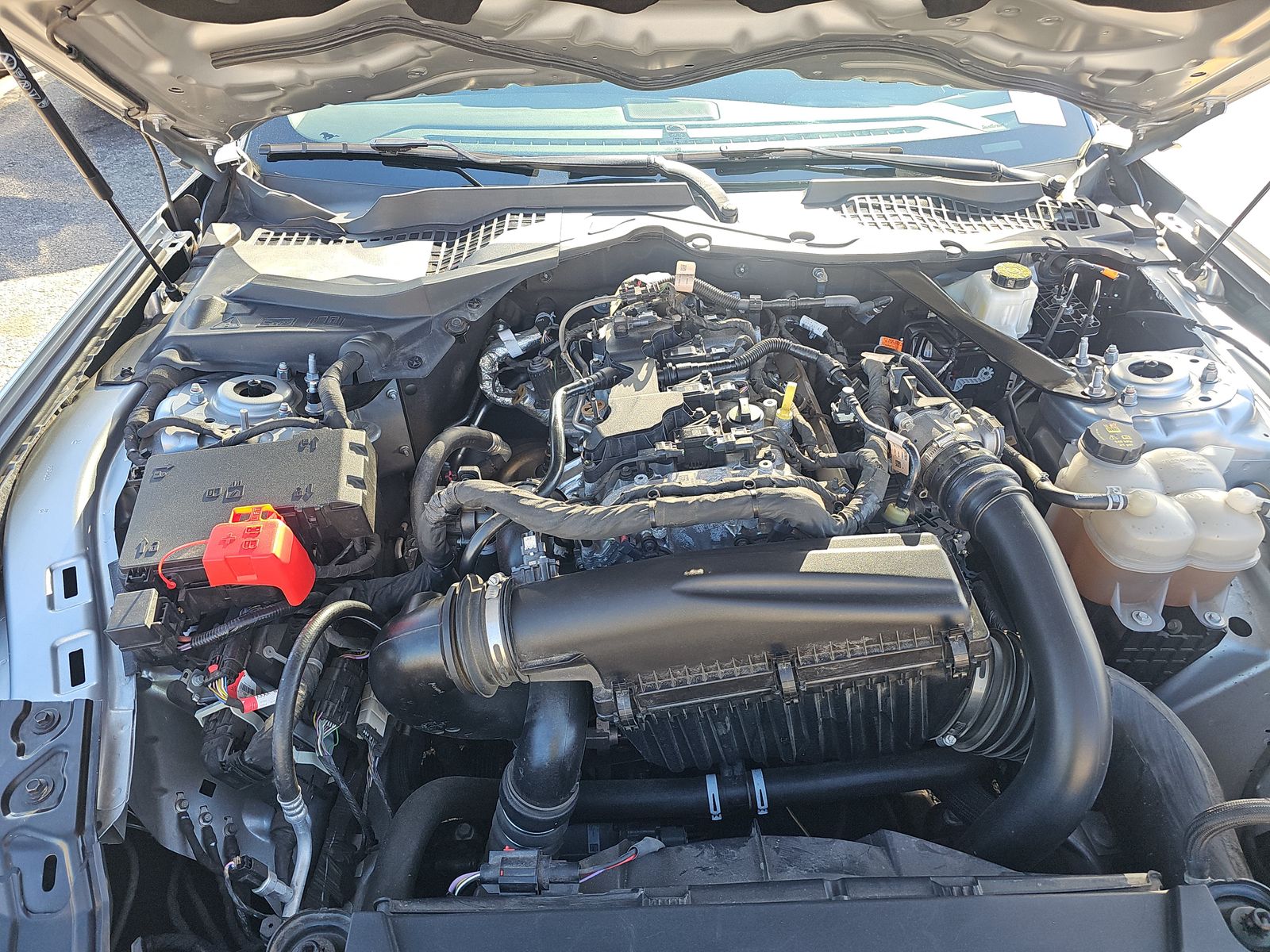 2024 Ford Mustang EcoBoost Premium RWD