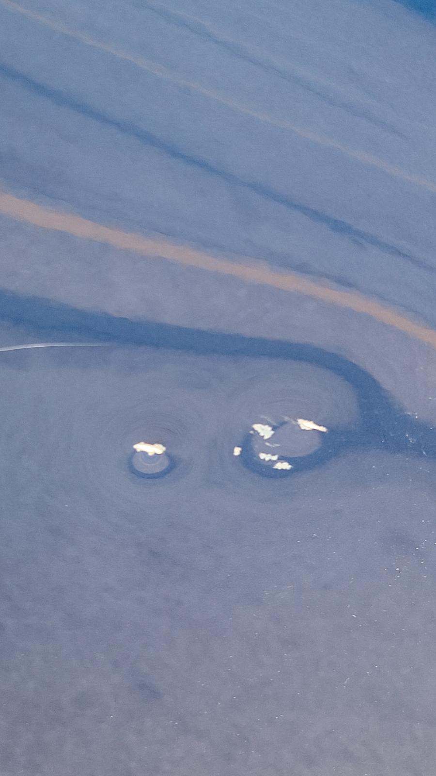 2022 Ford F-150 XL AWD