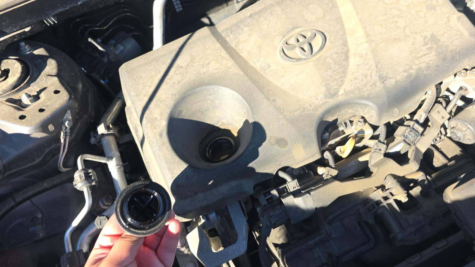 2024 Toyota RAV4 XLE AWD