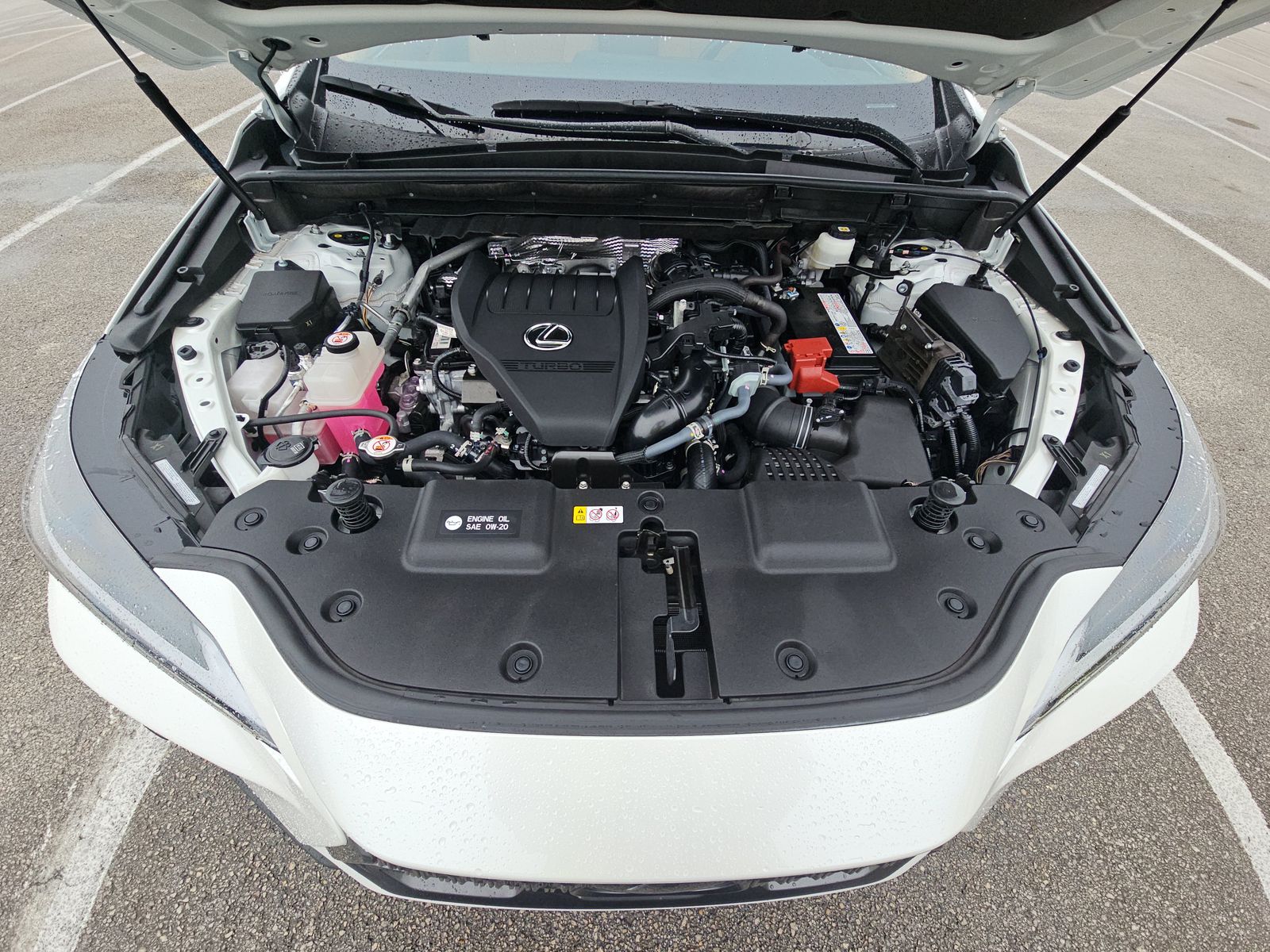 2024 Lexus NX NX 350 Premium AWD