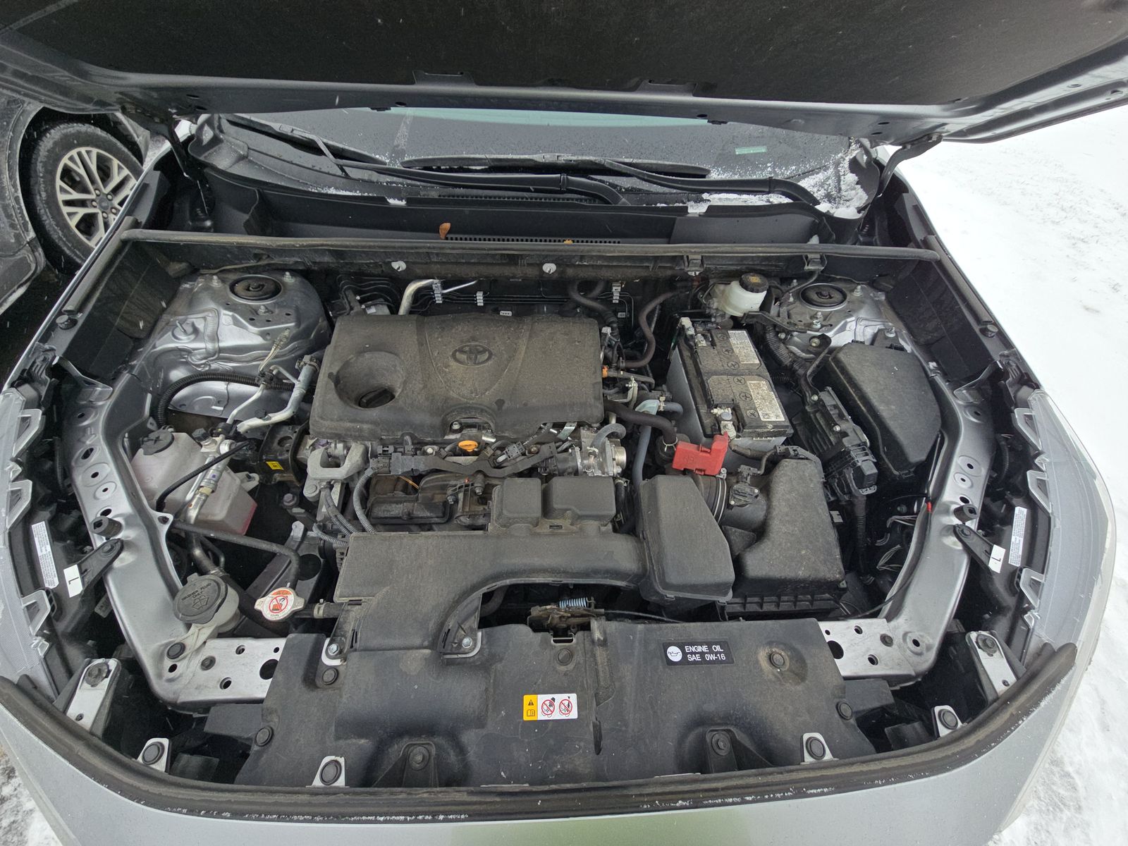 2024 Toyota RAV4 XLE AWD