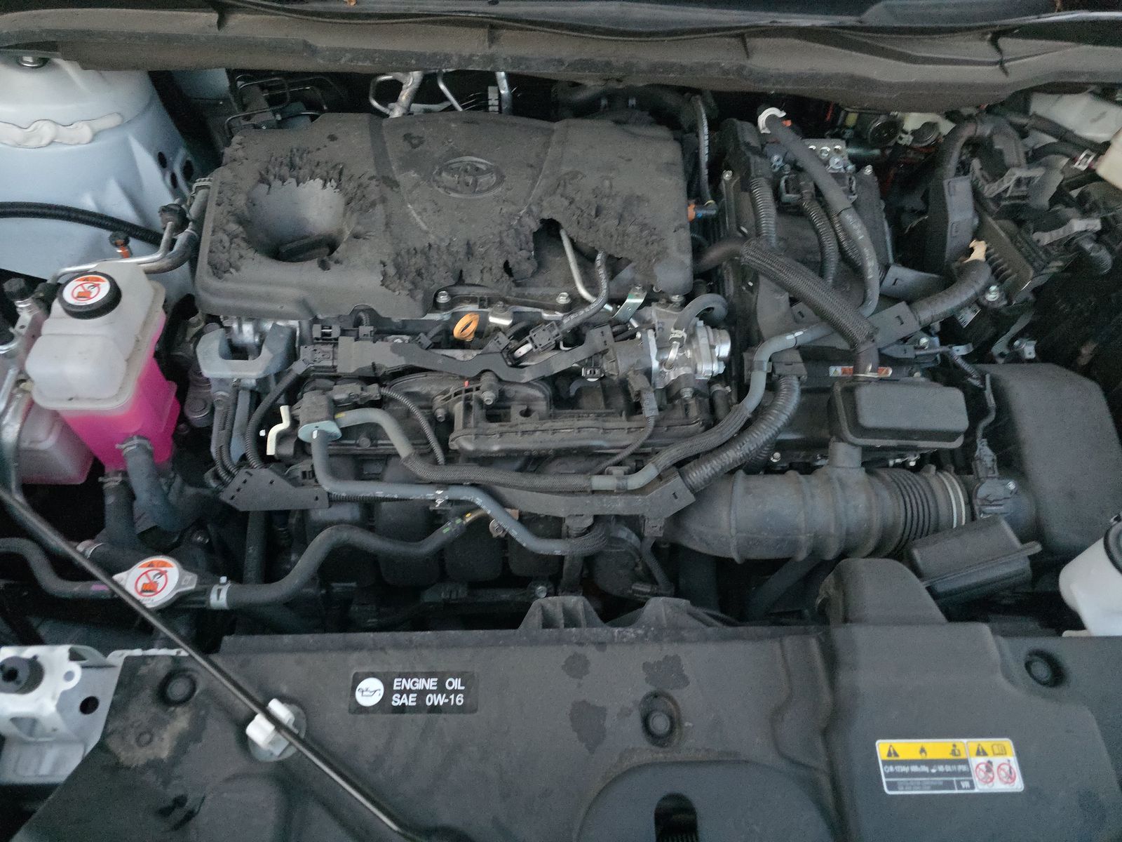 2024 Toyota Sienna LE FWD