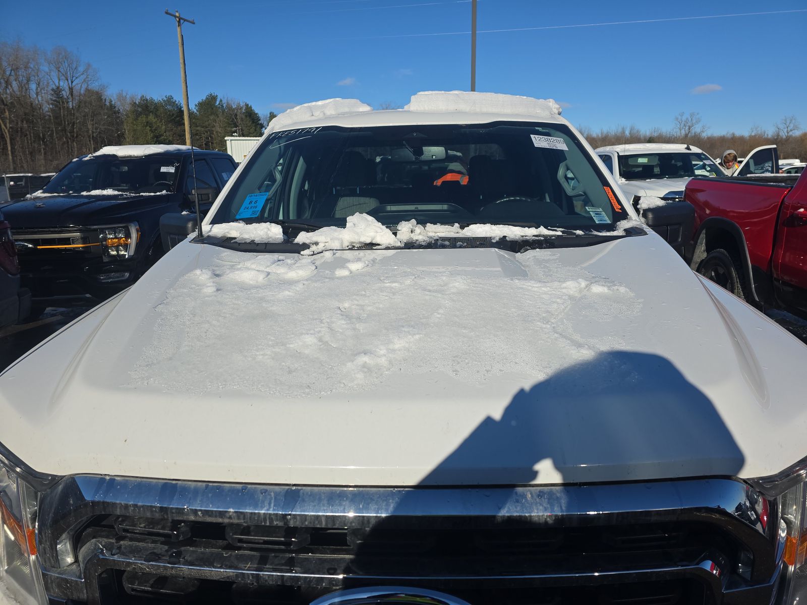2023 Ford F-150 XLT AWD