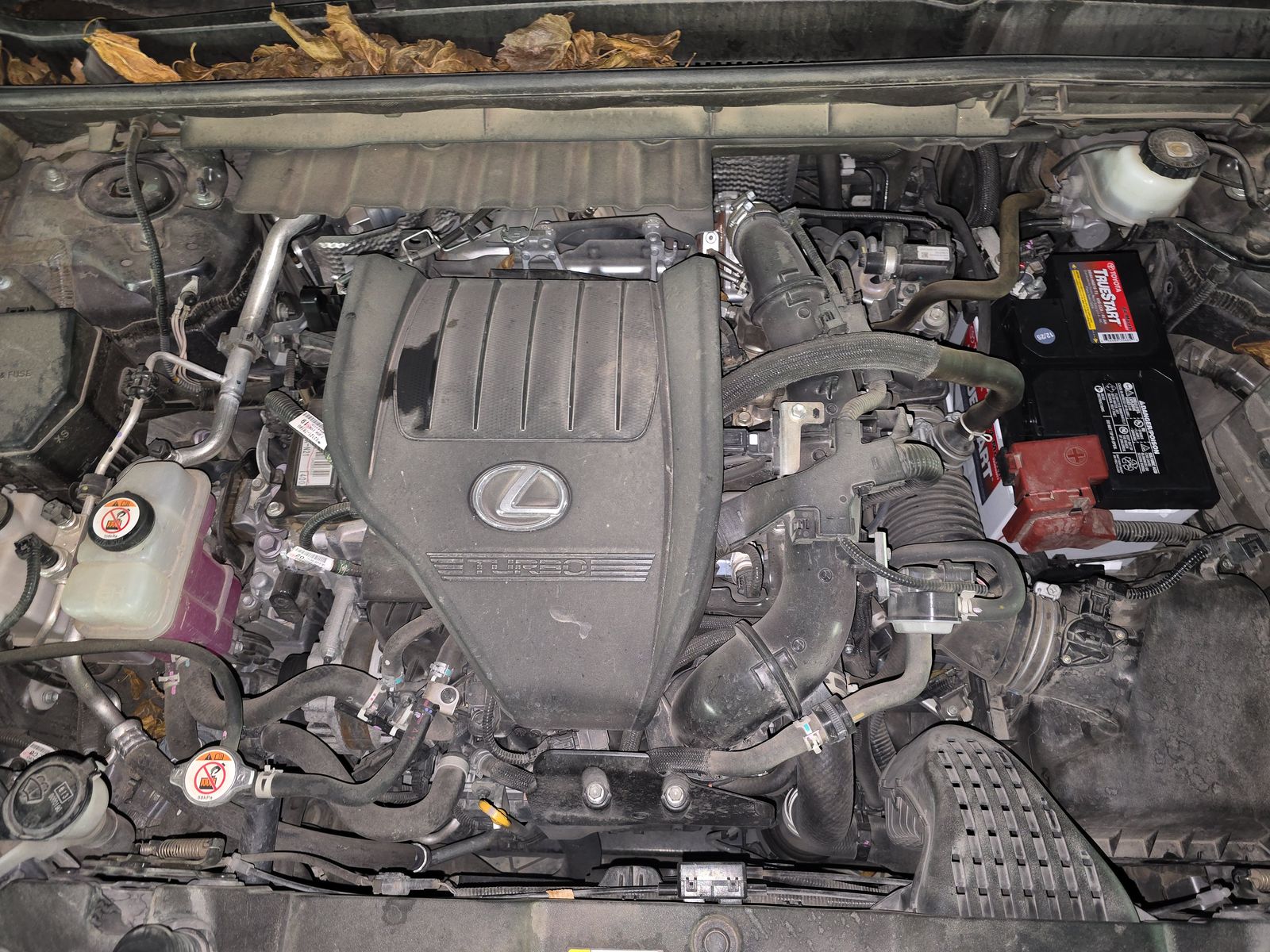 2022 Lexus NX NX 350 Luxury AWD