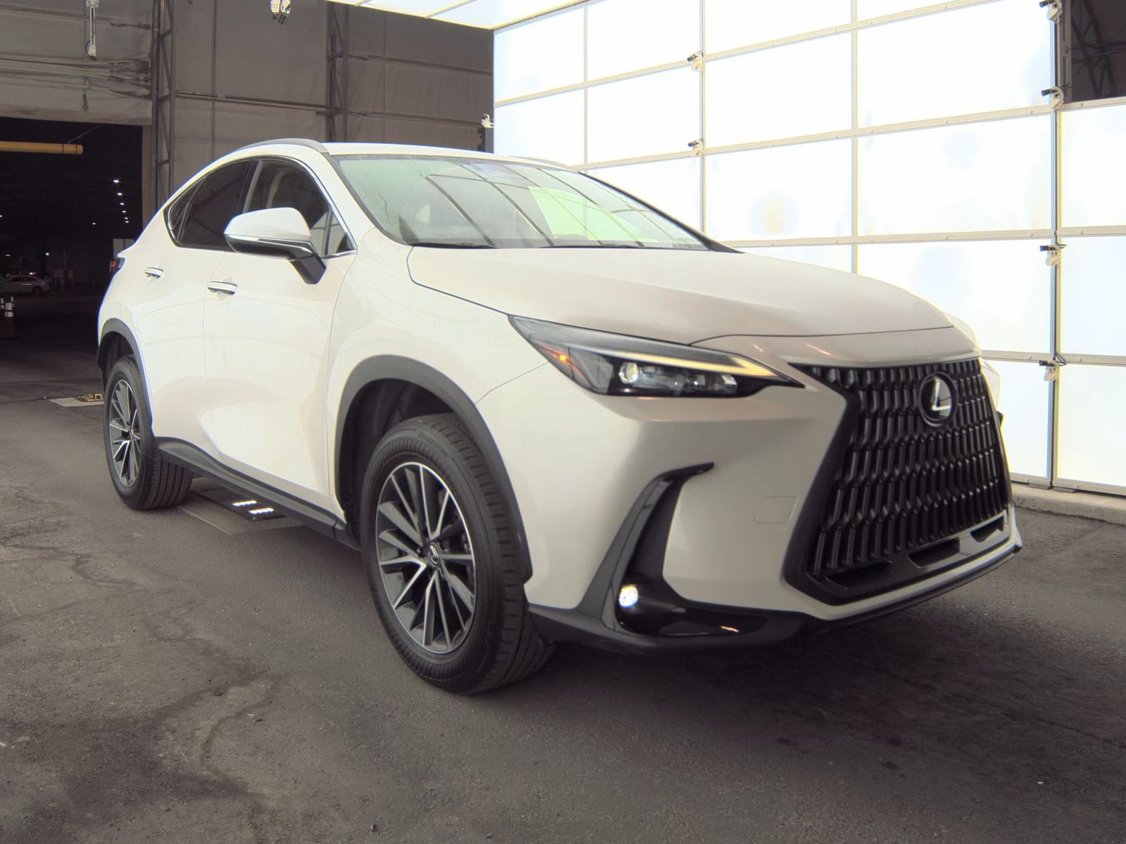 2024 Lexus NX NX 250 FWD