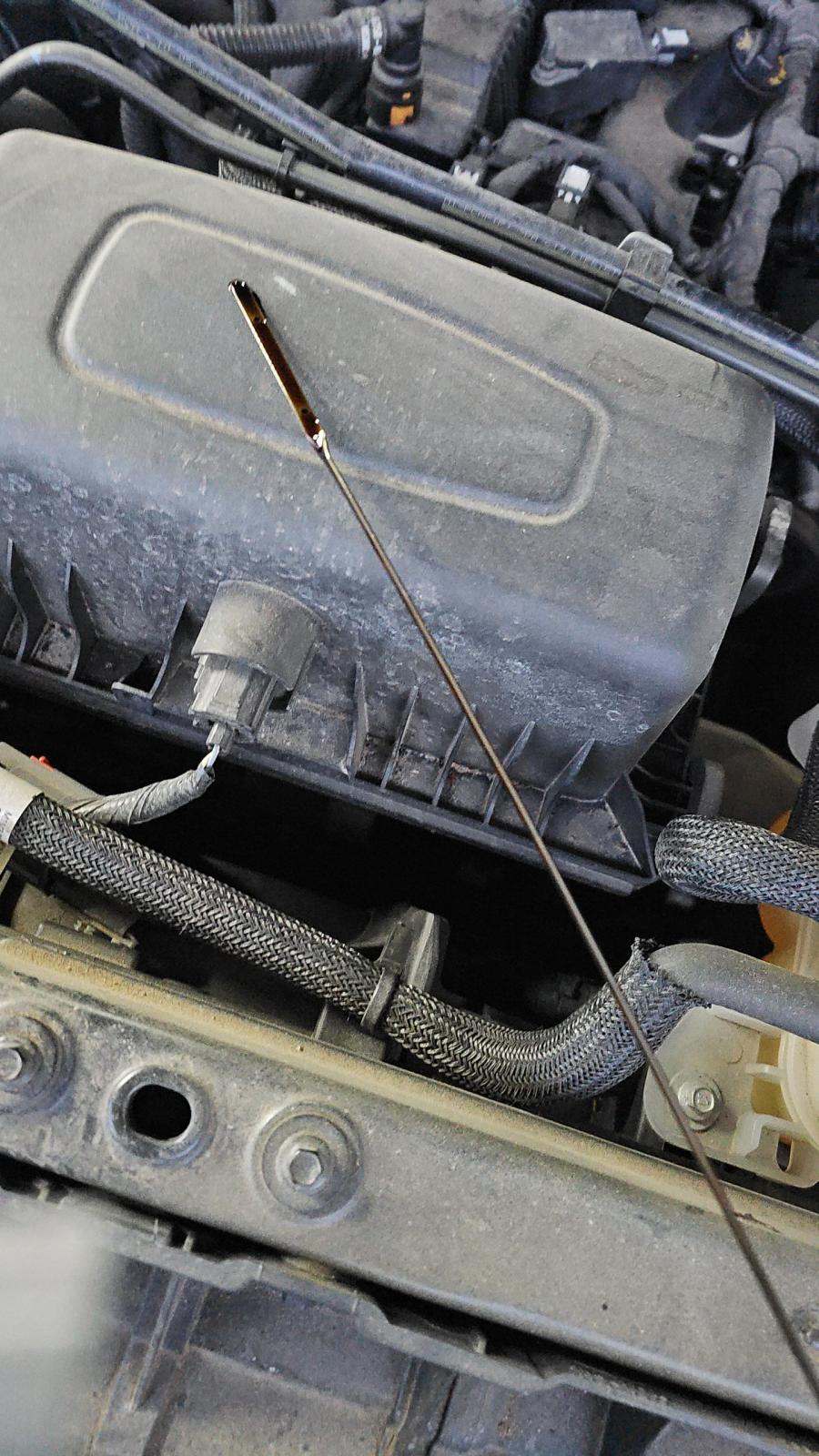 2023 Ford Explorer XLT AWD