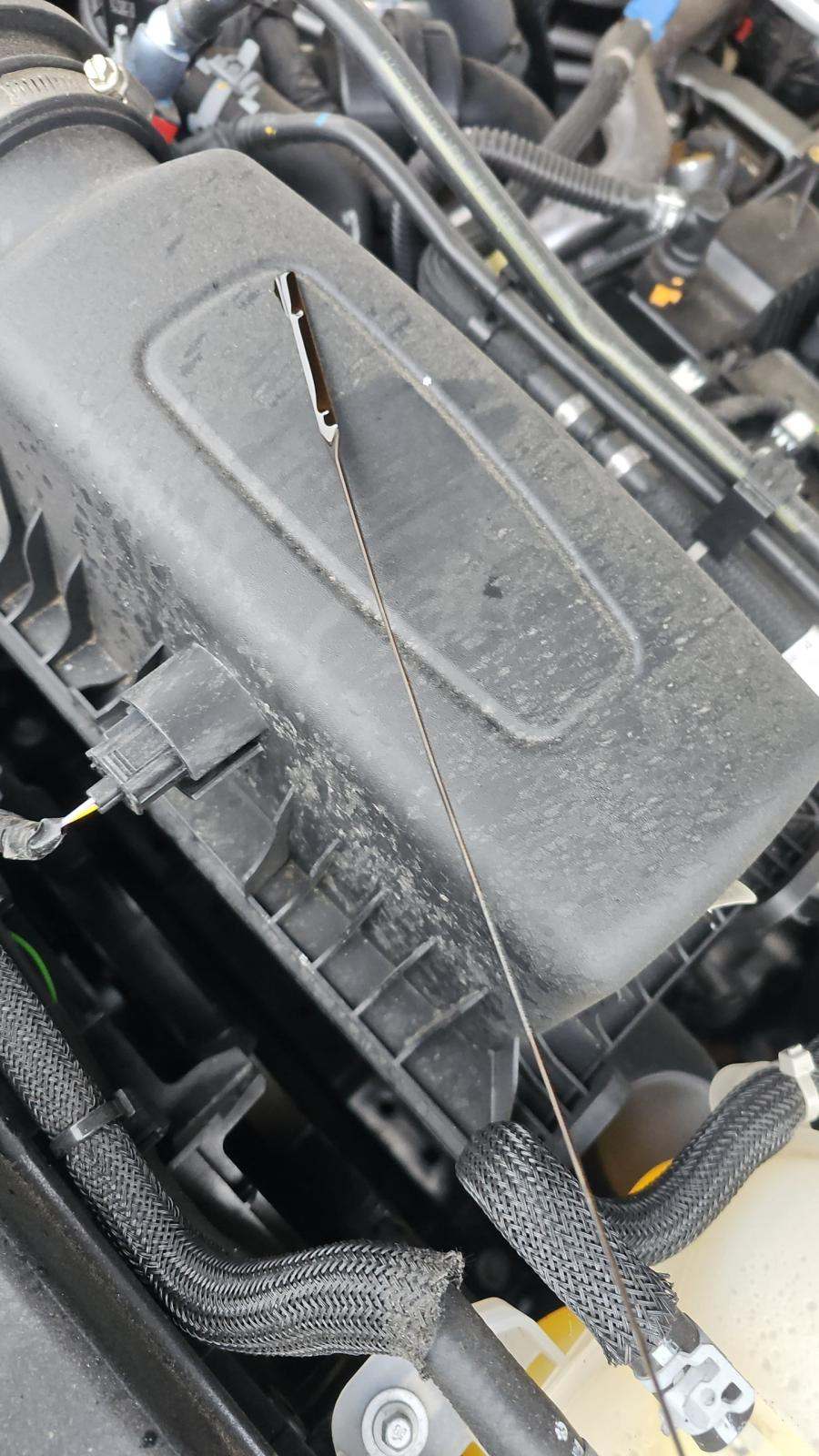 2023 Ford Explorer XLT AWD