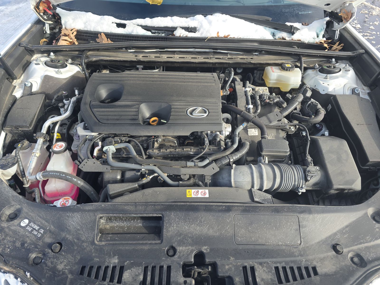 2023 Lexus ES ES 300h F SPORT Handling FWD