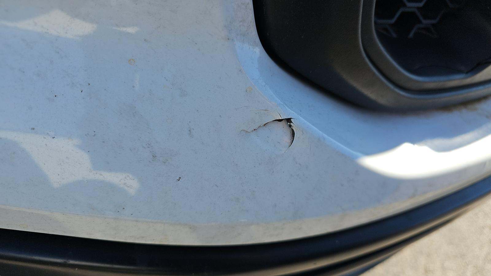 2023 Ford Ranger XL RWD