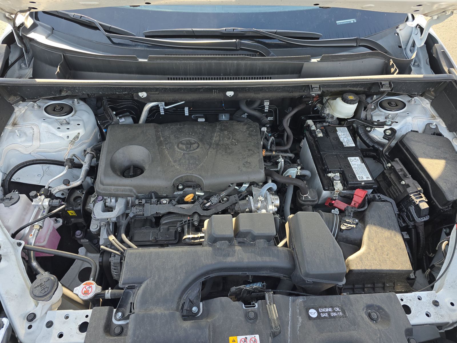 2024 Toyota RAV4 LE AWD