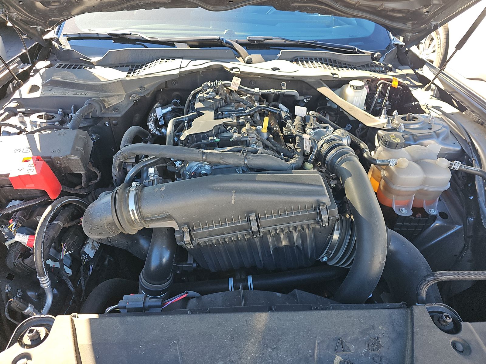 2024 Ford Mustang EcoBoost Premium RWD