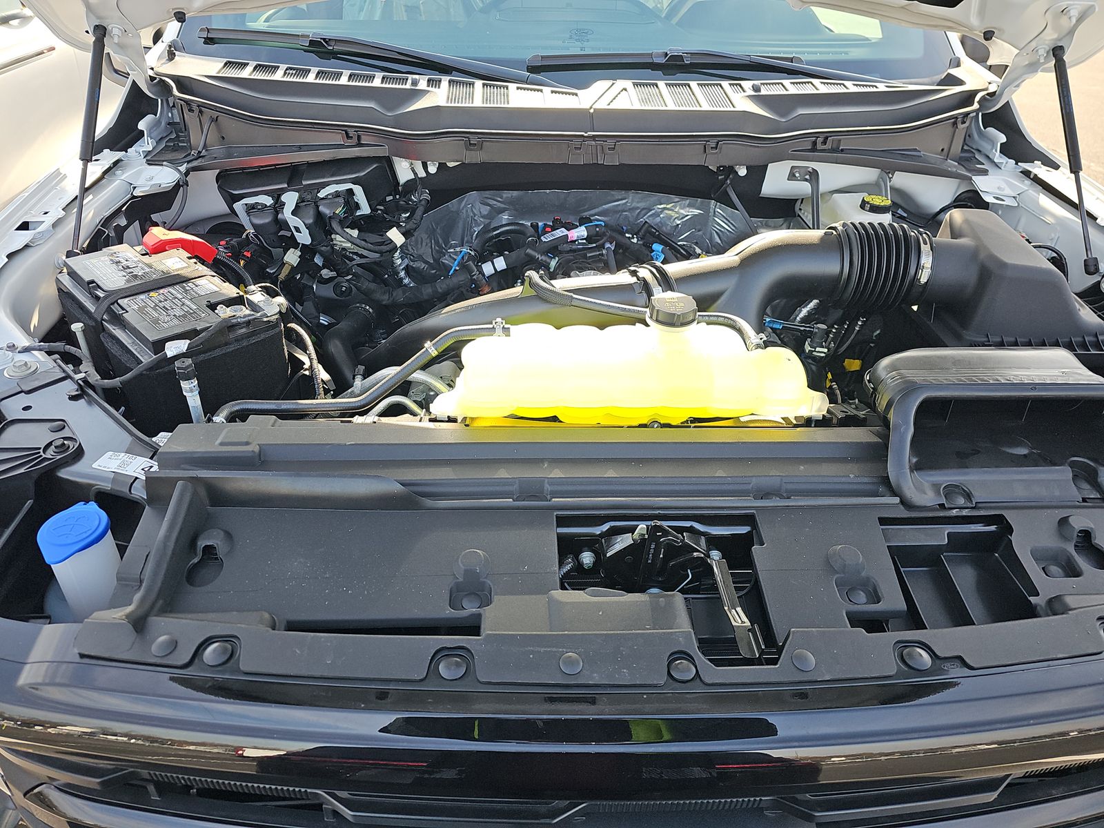 2025 Ford F-150 XLT AWD