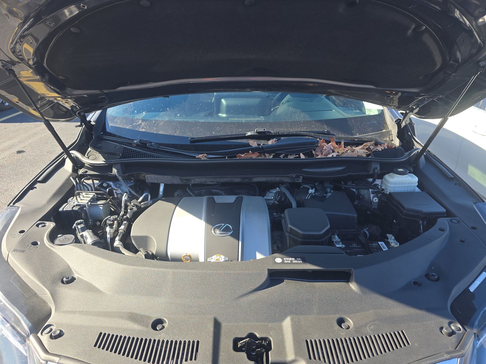 2022 Lexus RX RX 350 AWD