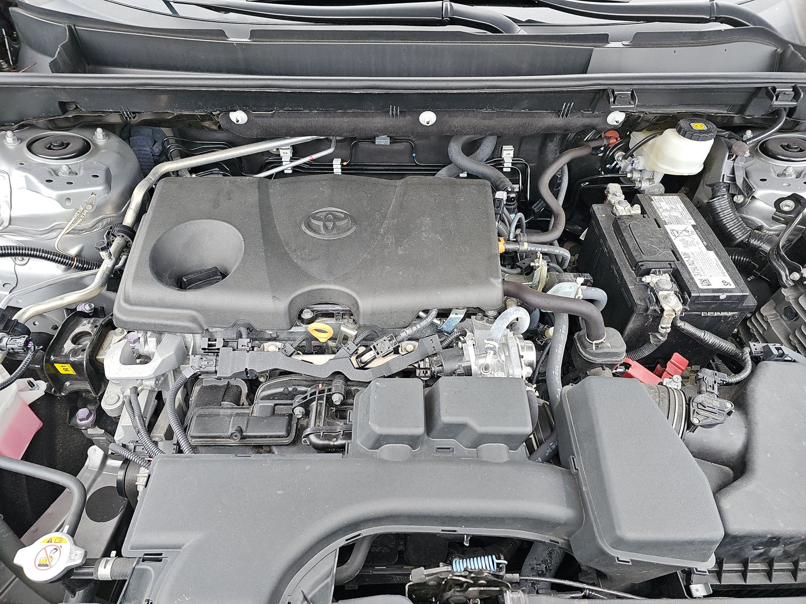 2023 Toyota RAV4 LE FWD