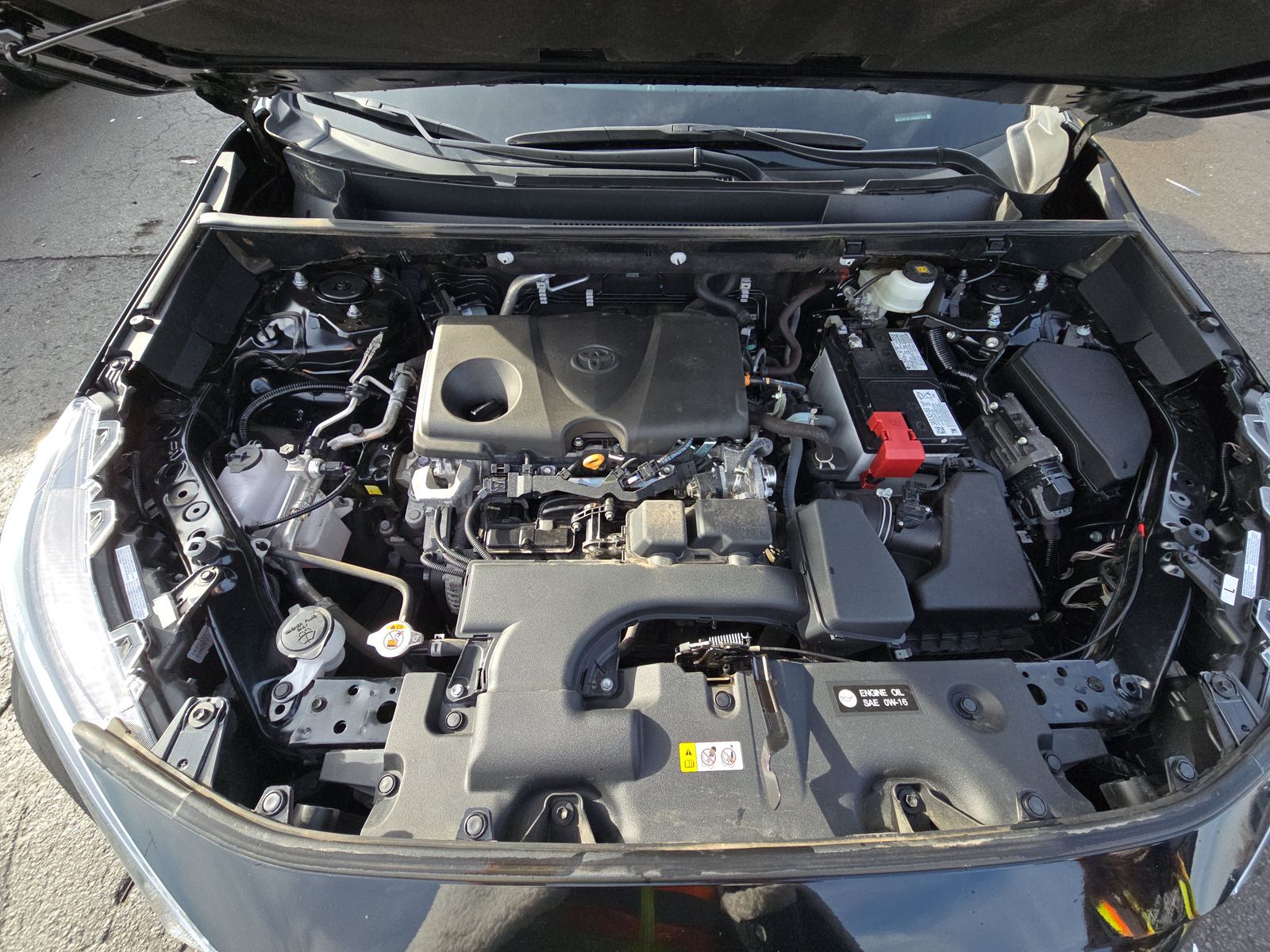 2024 Toyota RAV4 LE FWD