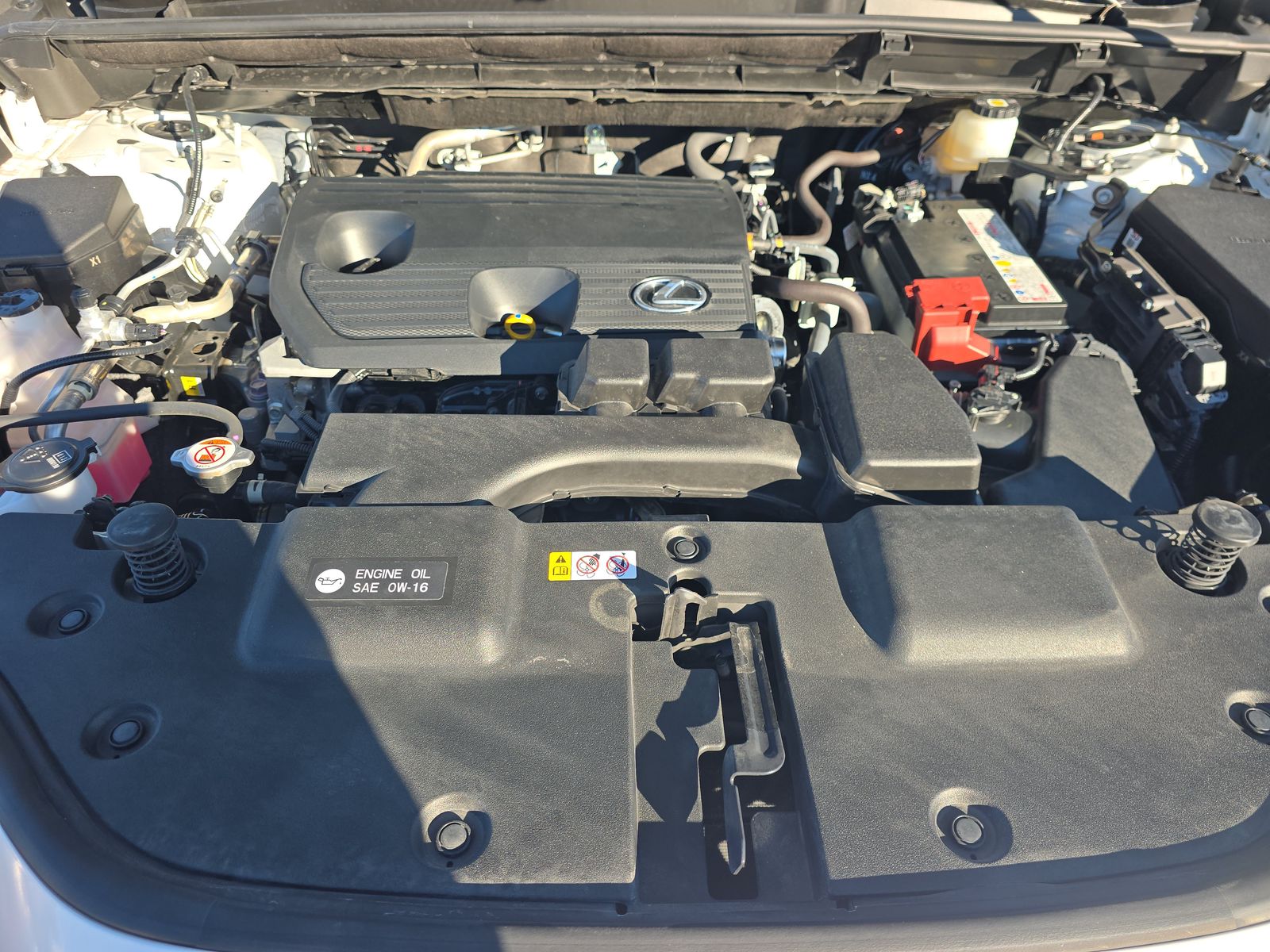 2024 Lexus NX NX 250 FWD