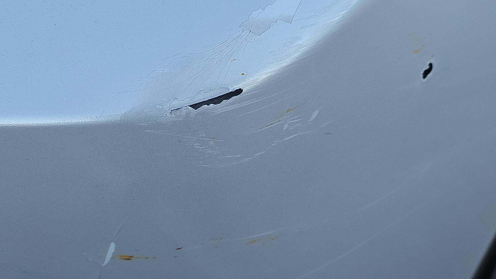 2024 Lexus NX NX 250 FWD