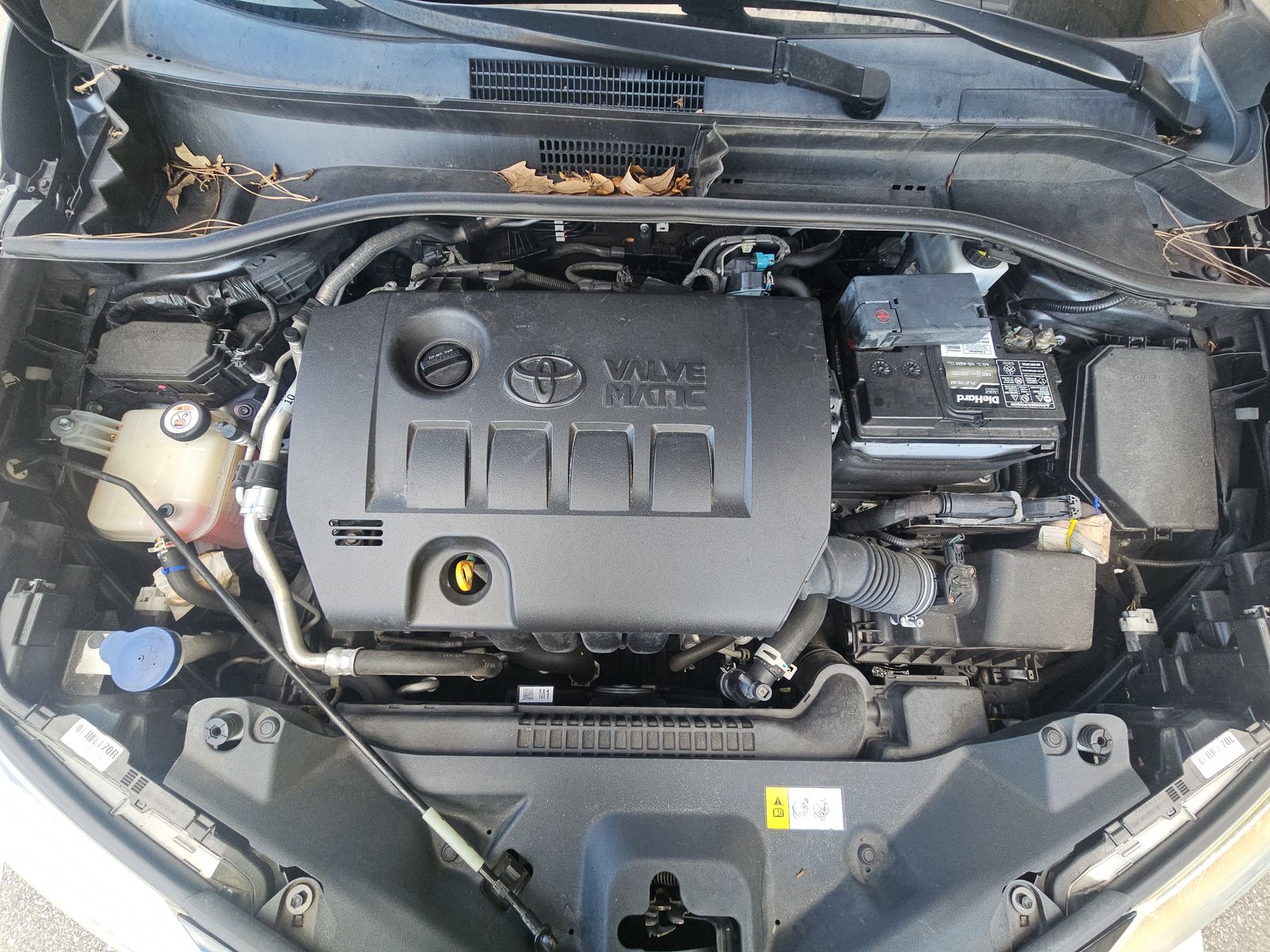 2021 Toyota C-HR XLE FWD