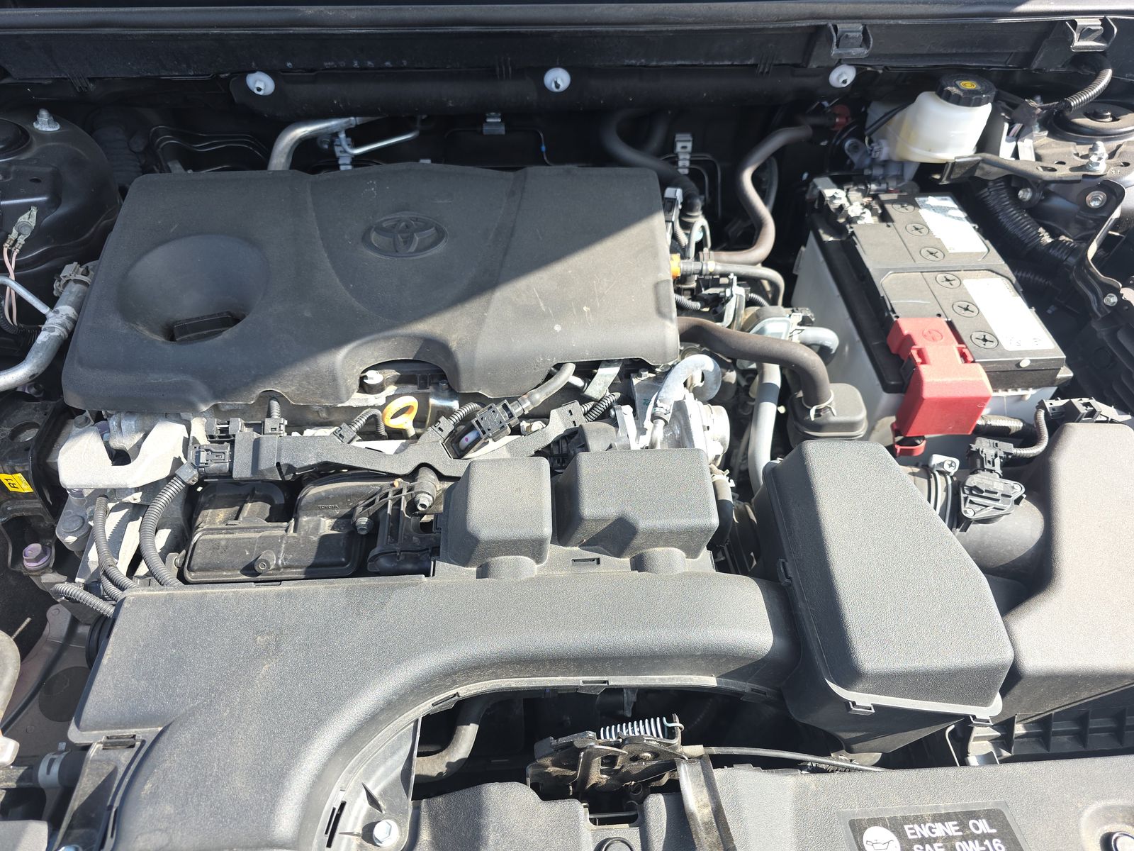 2024 Toyota RAV4 XLE AWD