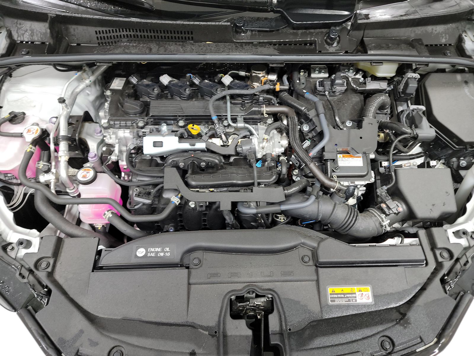 2024 Toyota Prius XLE AWD