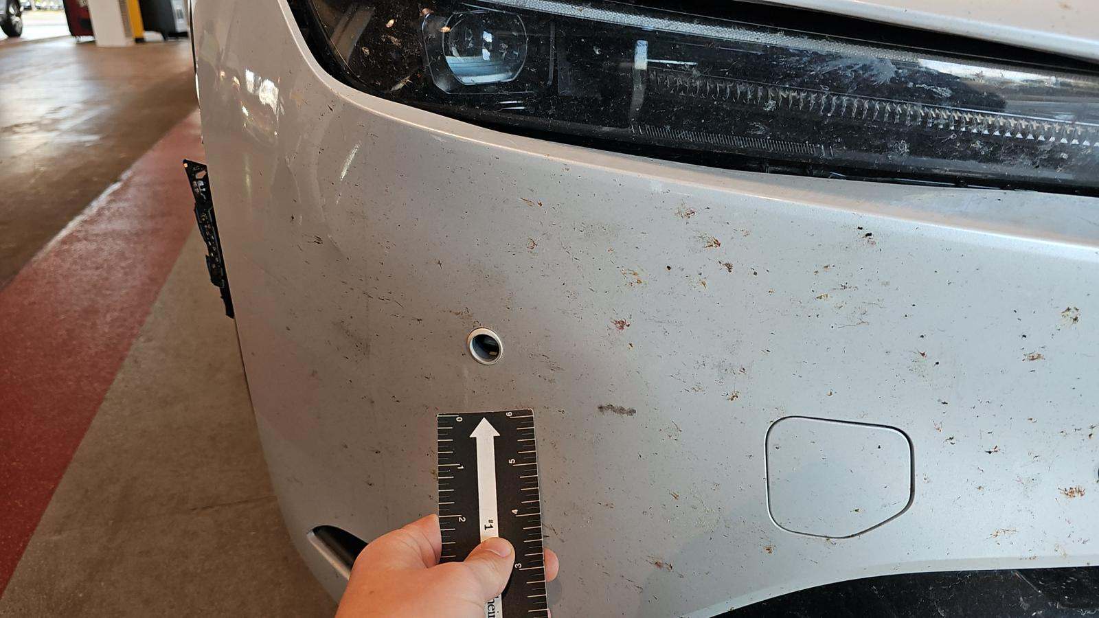 2024 Toyota Prius XLE AWD