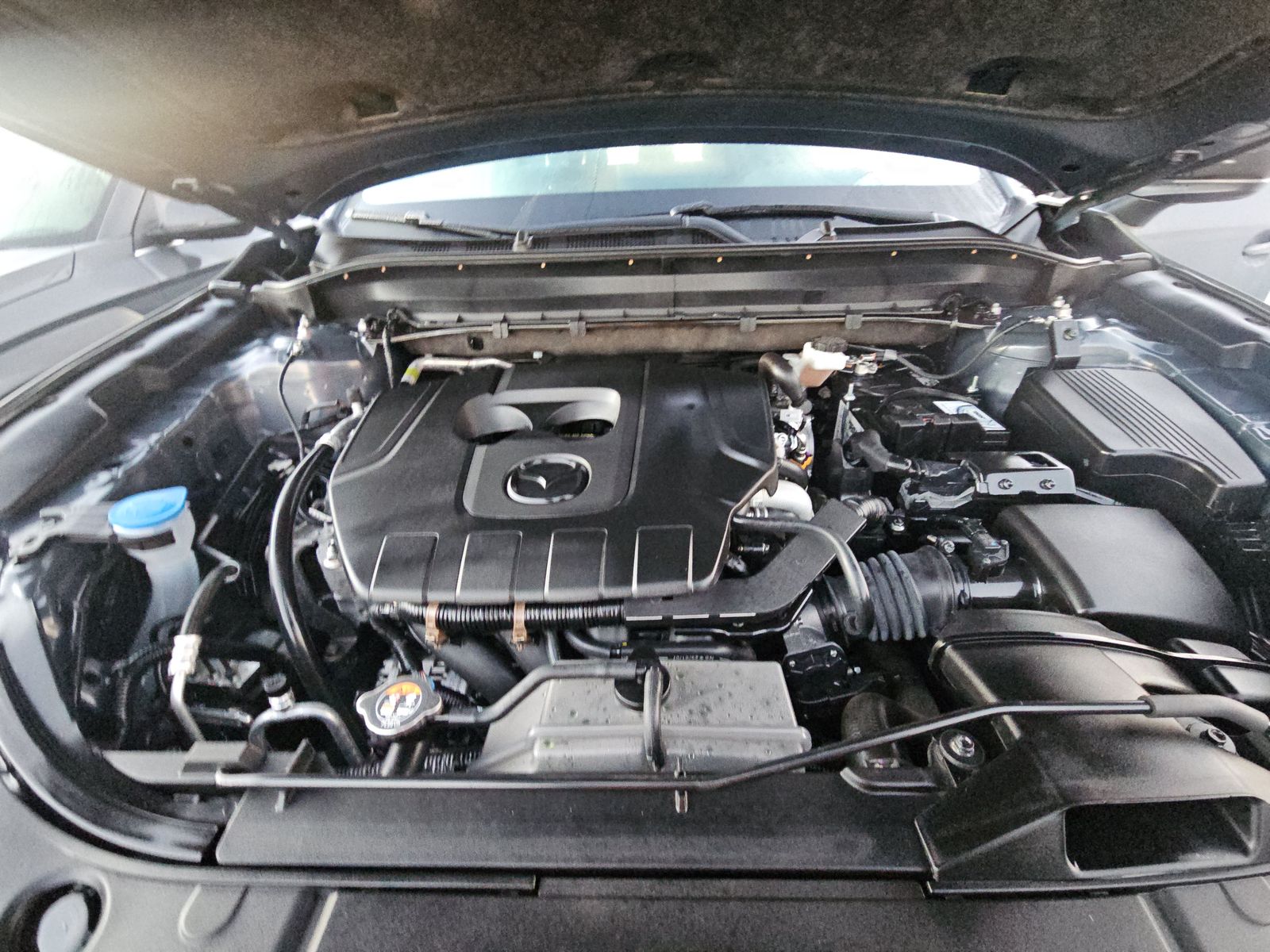 2025 MAZDA CX-5 2.5 S Carbon Edition AWD