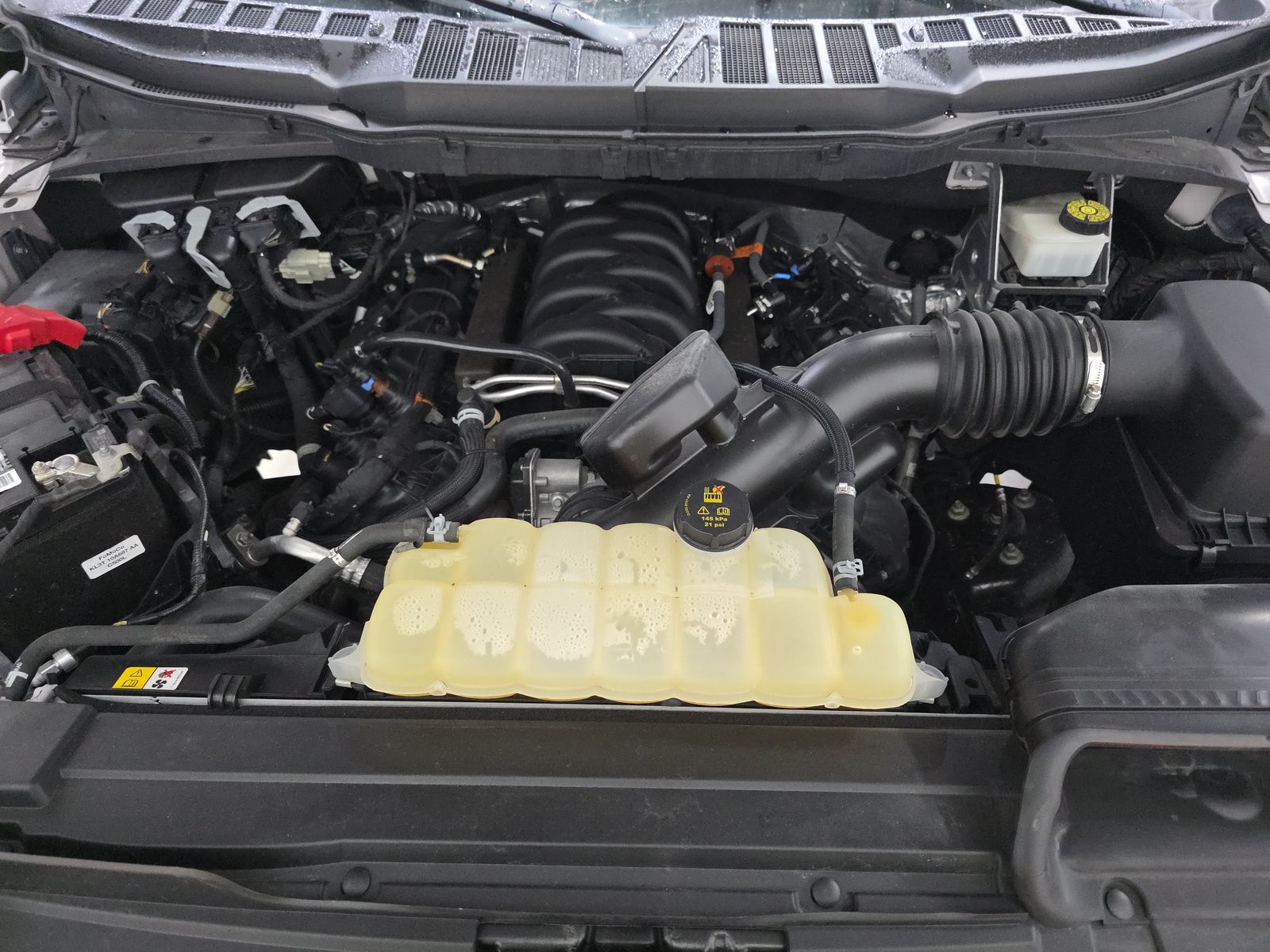 2023 Ford F-150 XLT RWD