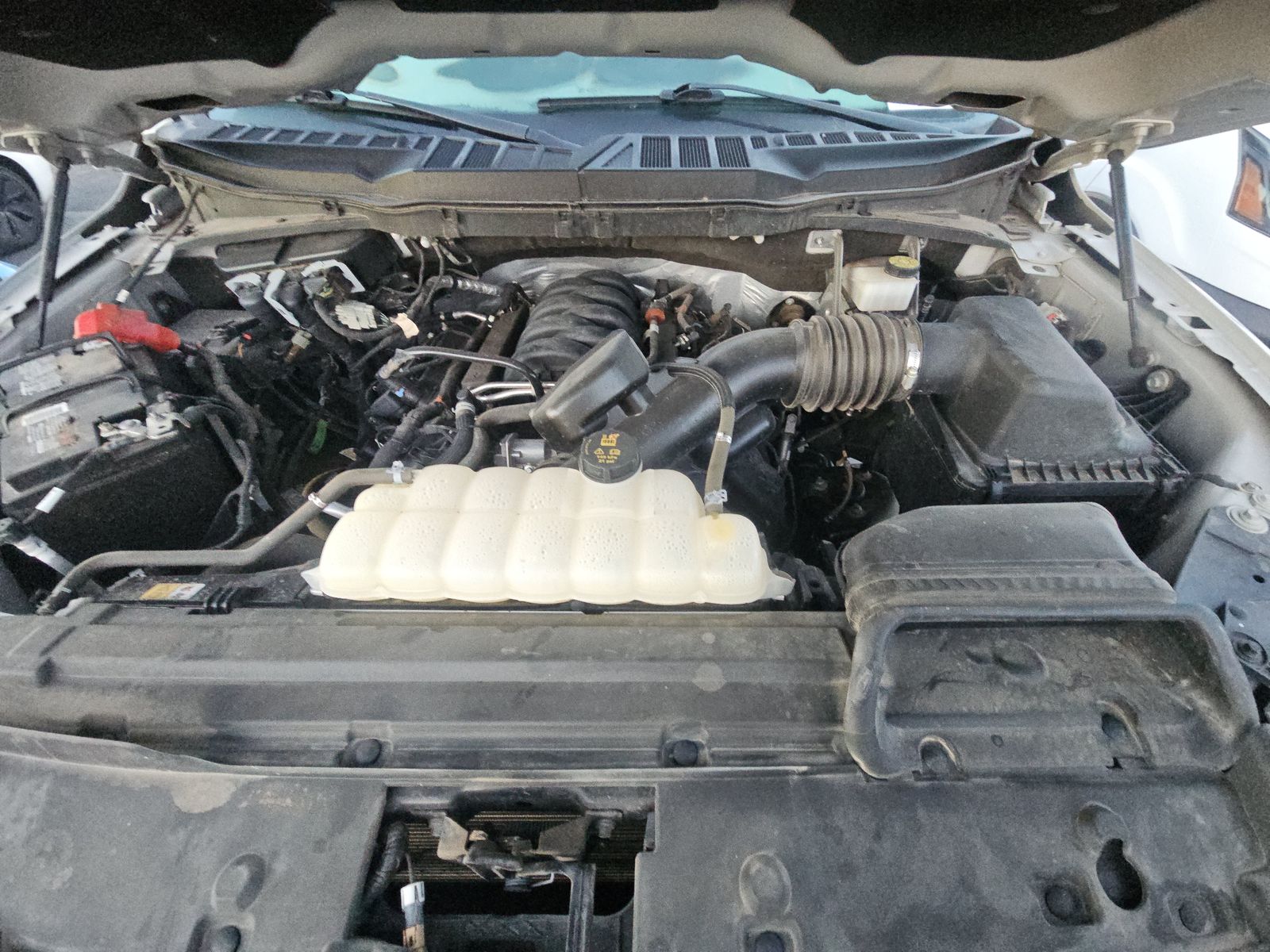 2024 Ford F-150 XLT AWD