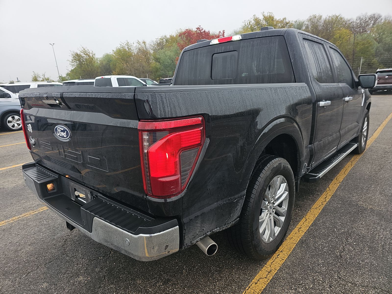 2024 Ford F-150 XLT RWD