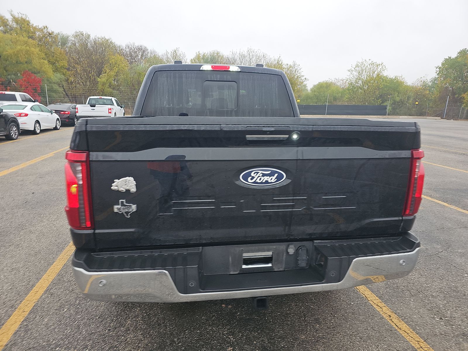 2024 Ford F-150 XLT RWD