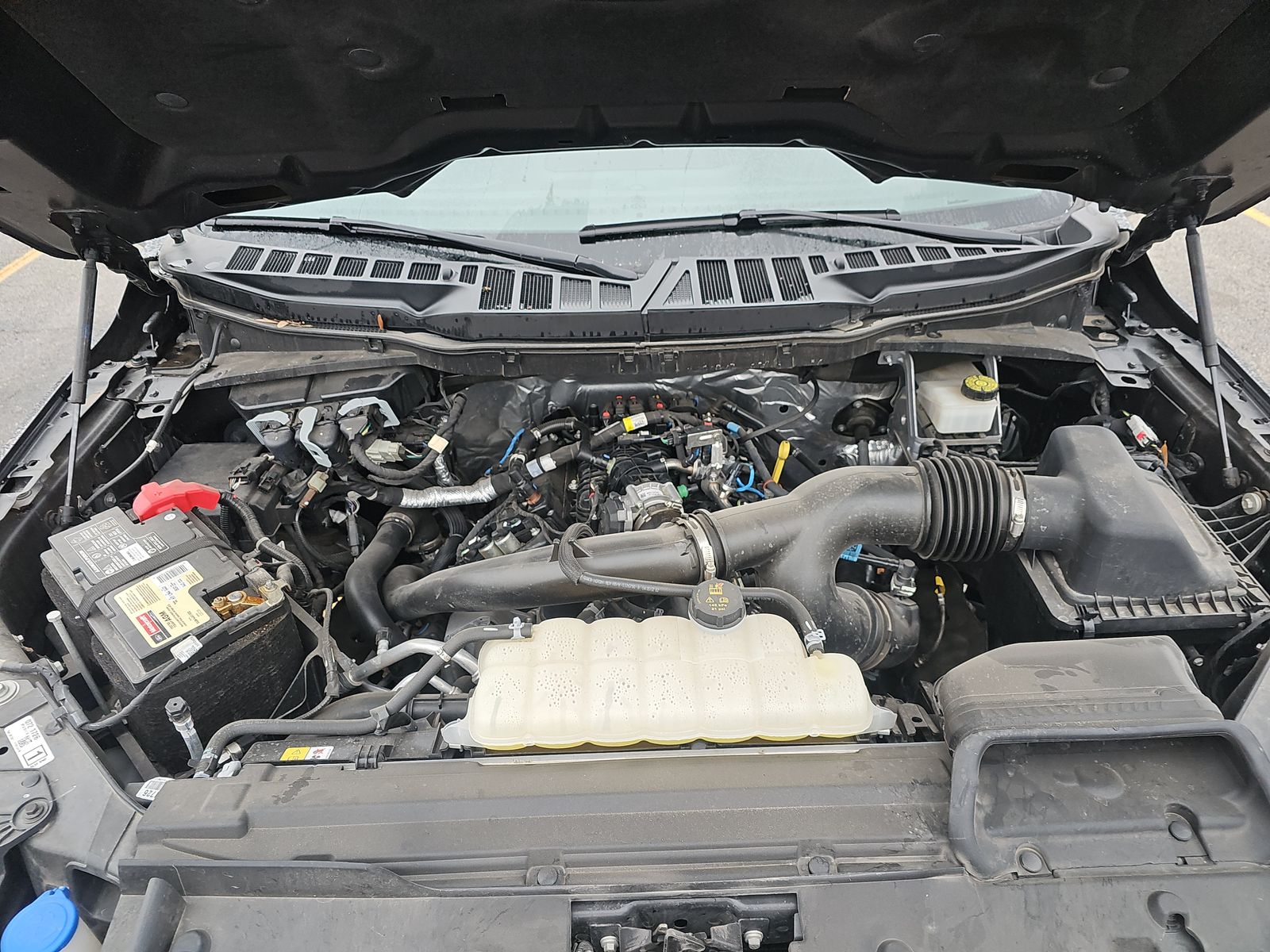 2024 Ford F-150 XLT RWD