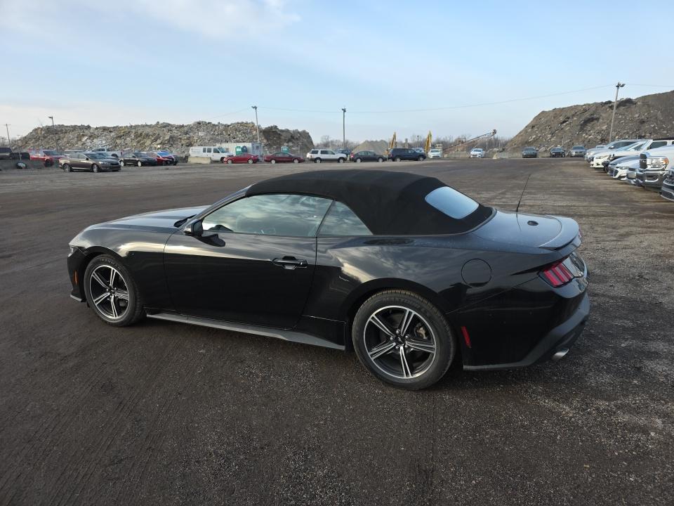 2024 Ford Mustang EcoBoost Premium RWD