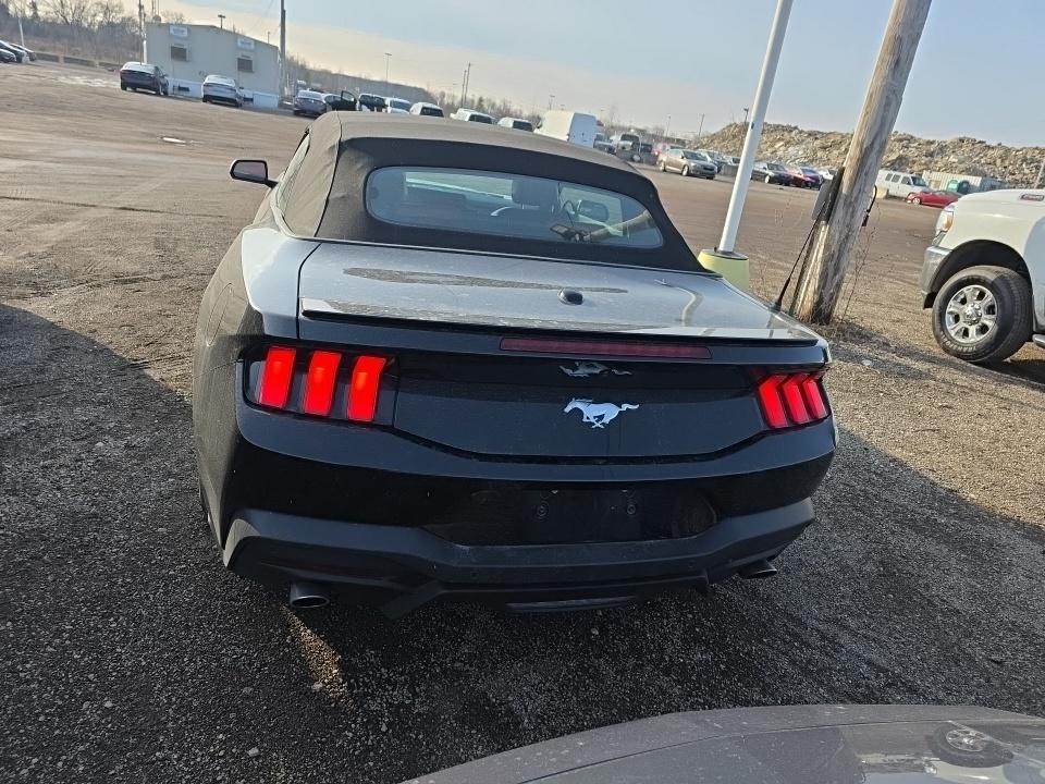 2024 Ford Mustang EcoBoost Premium RWD