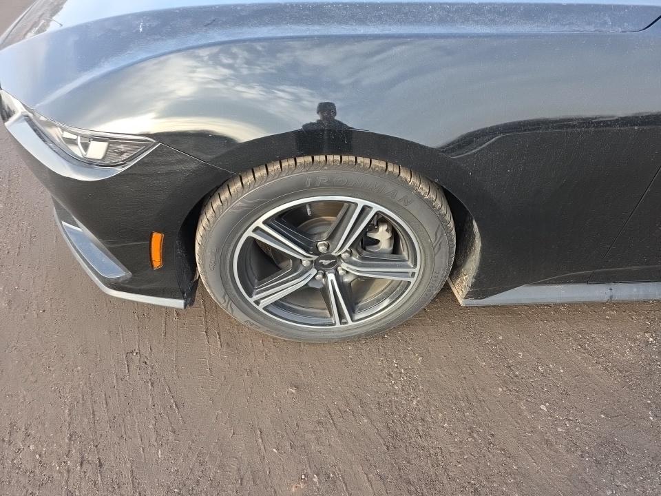 2024 Ford Mustang EcoBoost Premium RWD