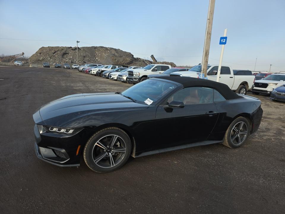 2024 Ford Mustang EcoBoost Premium RWD