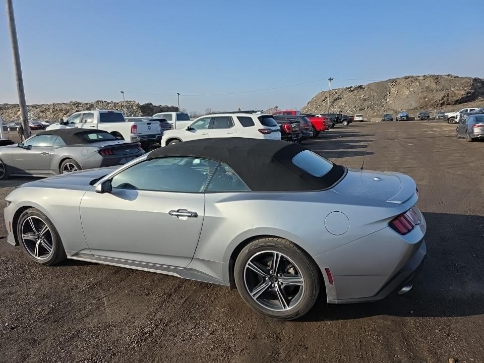 2024 Ford Mustang EcoBoost Premium RWD