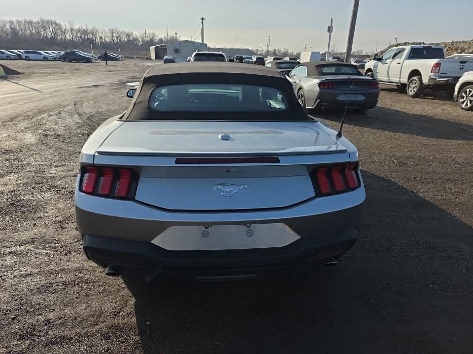 2024 Ford Mustang EcoBoost Premium RWD